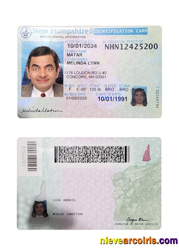 USA New Hampshire ID card